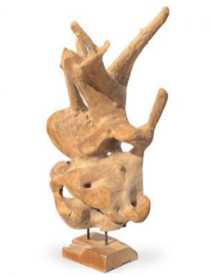 Driftwood and Root Carving of West Bengal